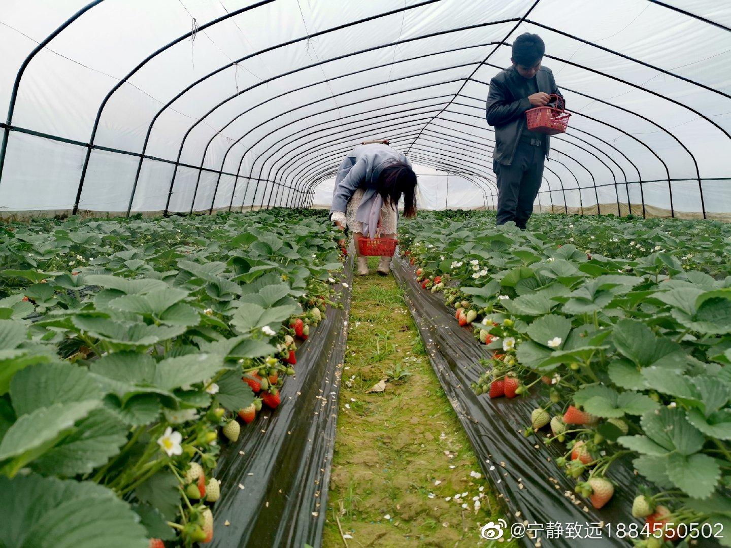 苏仙区科学技术和工业信息化局领导团队最新概述