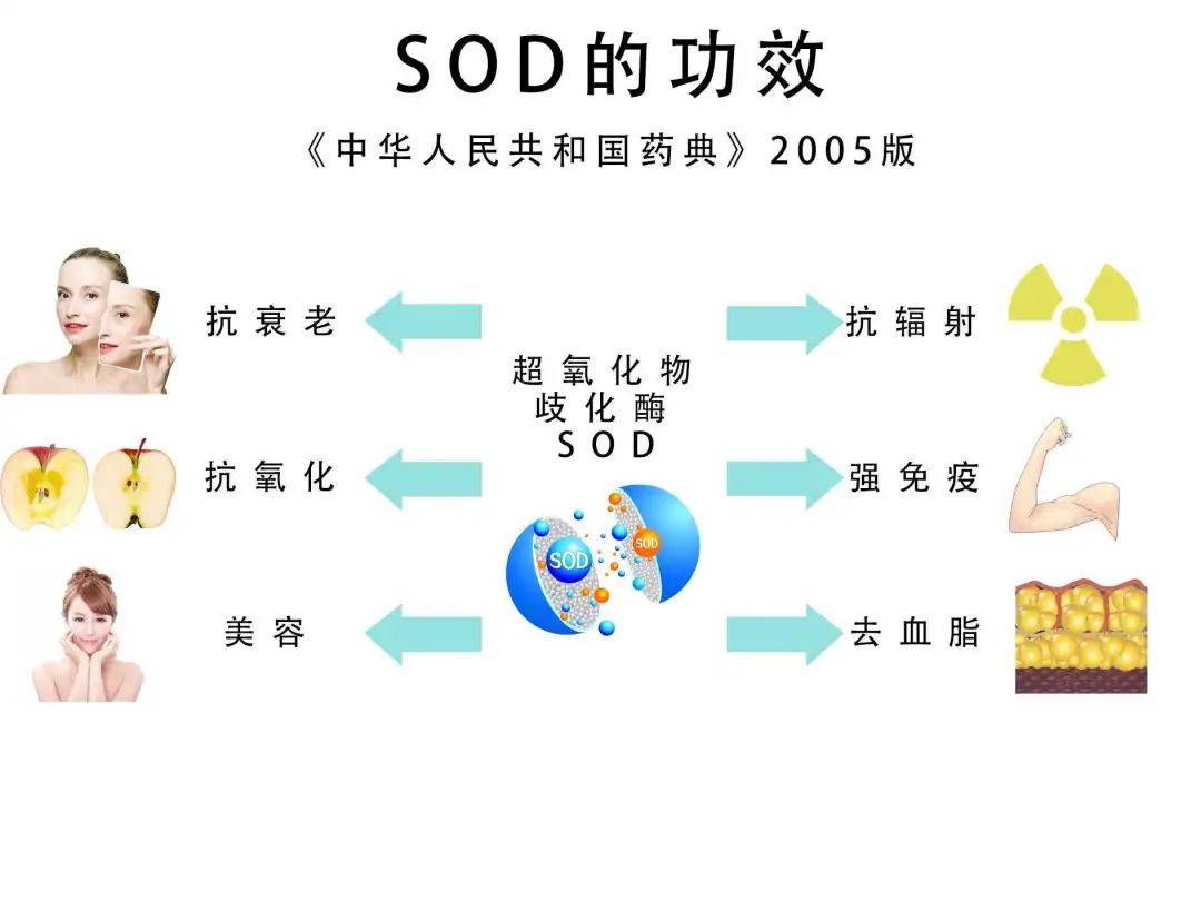 SOD最新研究与应用进展概览