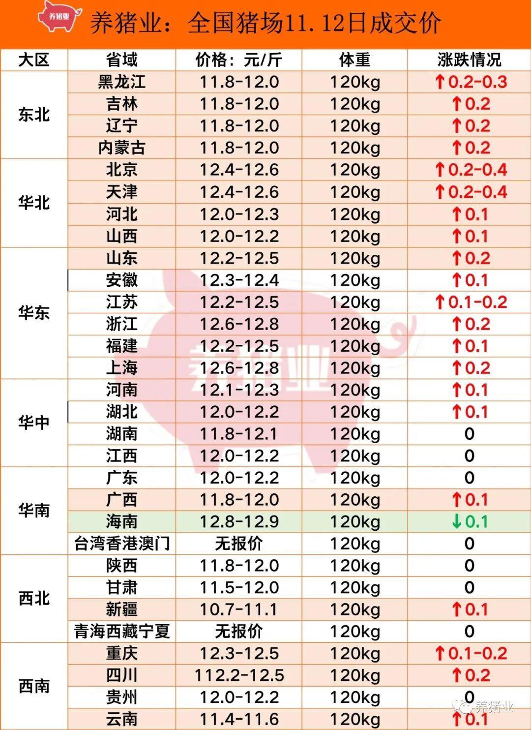 2024年12月2日 第19页