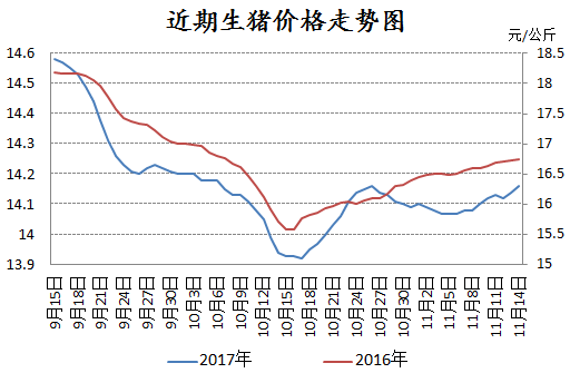 今日生猪价格走势解析