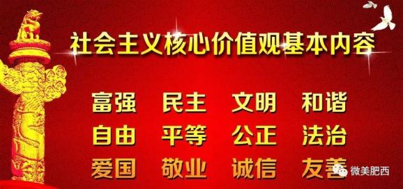 沛县水利局最新招聘信息全面解析