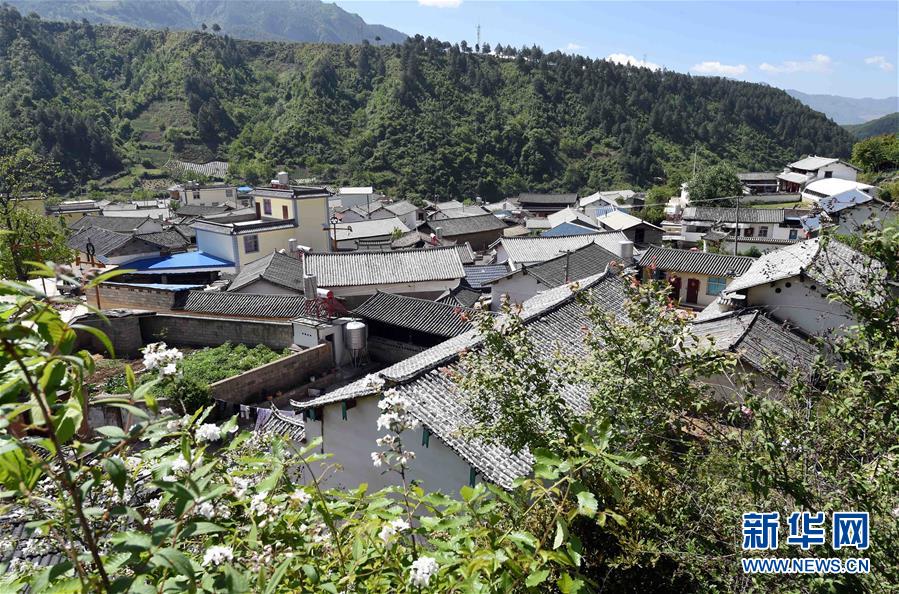 兰坪白族普米族自治县住房和城乡建设局招聘信息与职业机会一览