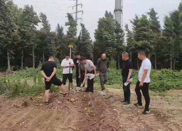 昌邑市自然资源和规划局最新动态报道