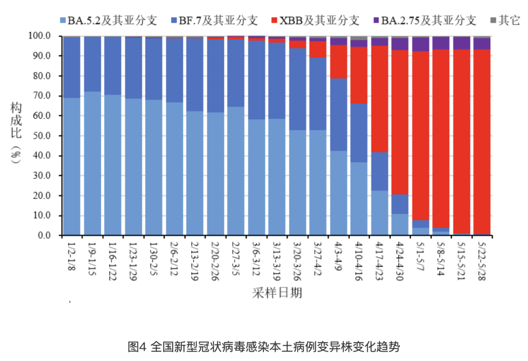 全国最新疫情数据及其深度影响分析